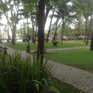Bali photo