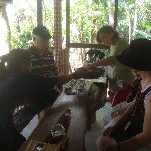 Coffee Plantation