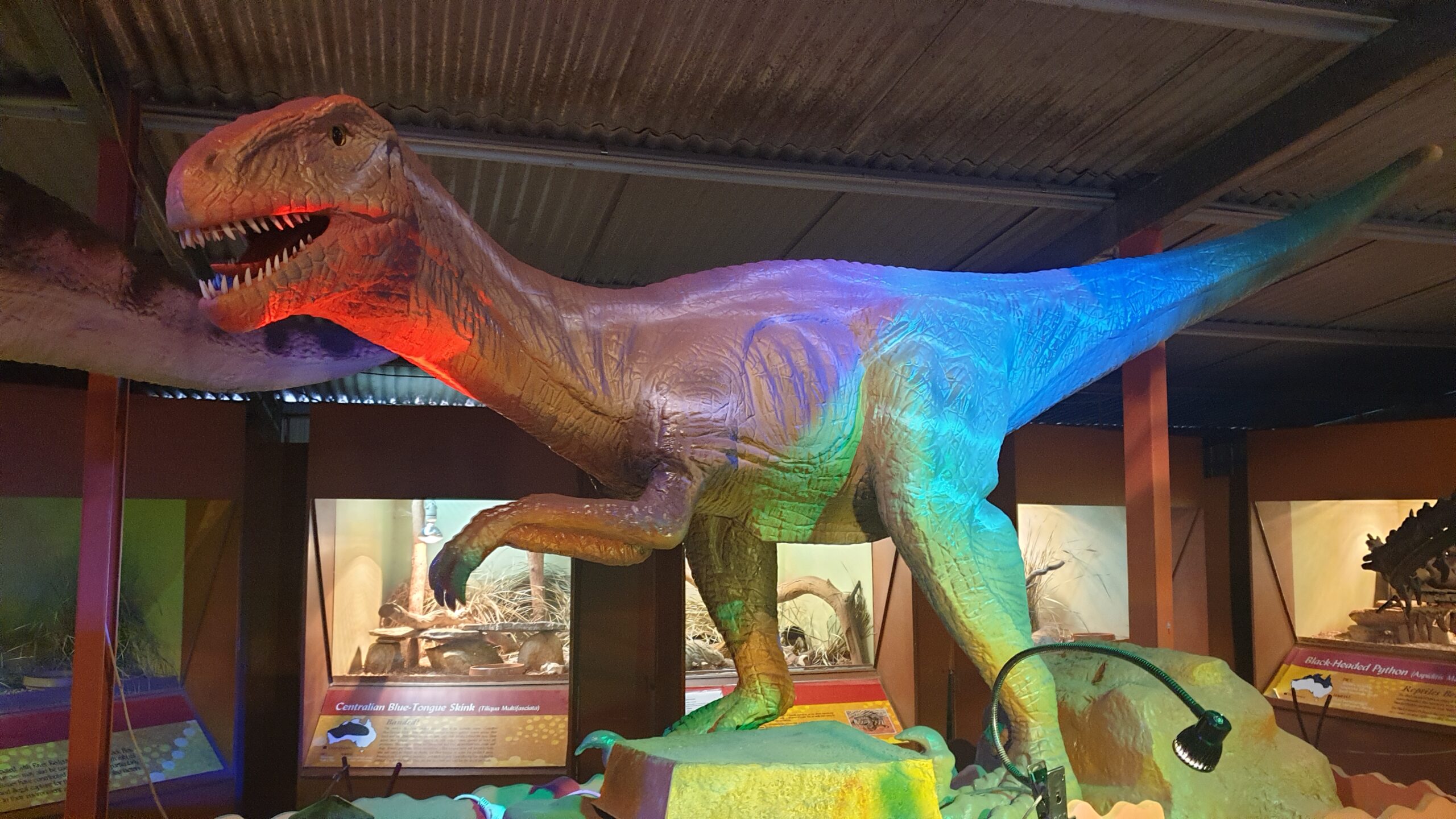 Denmark Dinosaur World - Tourism Attraction